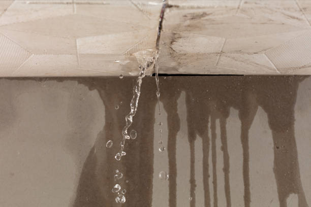 Professional Burst Pipe Cleanup technician working in Ridgefield Park, NJ